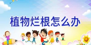 植物烂根怎么办