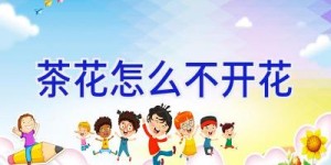 茶花怎么不开花