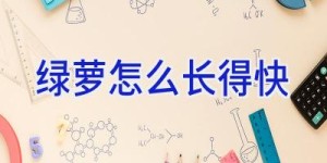 绿萝怎么长得快