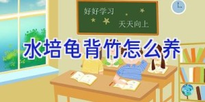 水培龟背竹怎么养