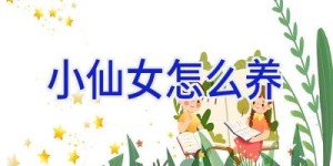小仙女怎么养