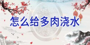 怎么给多肉浇水