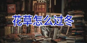 花草怎么过冬
