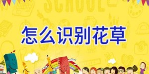 怎么识别花草