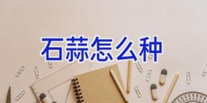 石蒜怎么种
