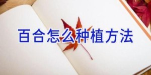 百合怎么种植方法