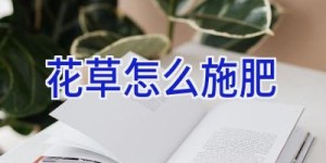 花草怎么施肥