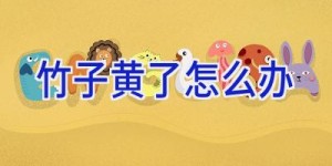 竹子黄了怎么办