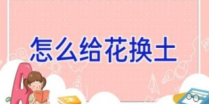 怎么给花换土