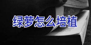 绿萝怎么培植