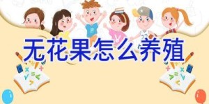 无花果怎么养殖