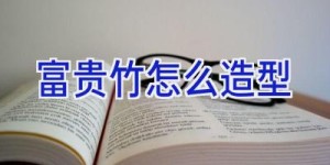 富贵竹怎么造型