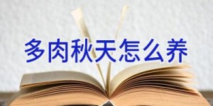 多肉秋天怎么养