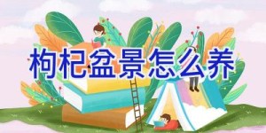 枸杞盆景怎么养