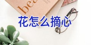 花怎么摘心
