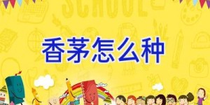 香茅怎么种