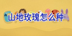 山地玫瑰怎么种