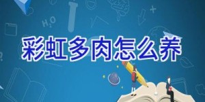 彩虹多肉怎么养