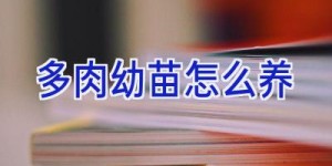 多肉幼苗怎么养