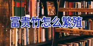 富贵竹怎么繁殖