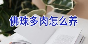 佛珠多肉怎么养