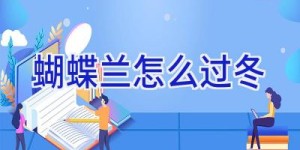 蝴蝶兰怎么过冬