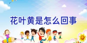 花叶黄是怎么回事