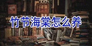 竹节海棠怎么养