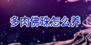 多肉佛珠怎么养