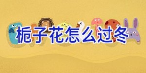 栀子花怎么过冬