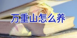 万重山怎么养