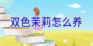 双色茉莉怎么养