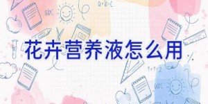 花卉营养液怎么用