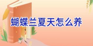 蝴蝶兰夏天怎么养