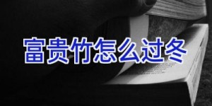 富贵竹怎么过冬