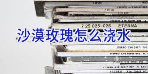 沙漠玫瑰怎么浇水