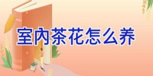 室内茶花怎么养
