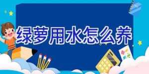 绿萝用水怎么养