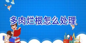 多肉烂根怎么处理