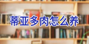 蒂亚多肉怎么养