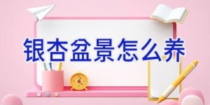 银杏盆景怎么养