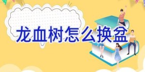 龙血树怎么换盆