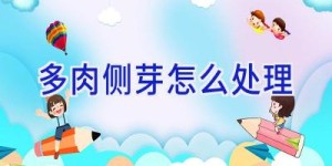 <?php the_title(); ?>