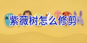 紫薇树怎么修剪