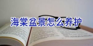 海棠盆景怎么养护