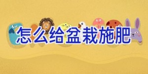怎么给盆栽施肥