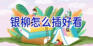 银柳怎么插好看