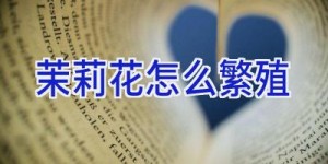 茉莉花怎么繁殖