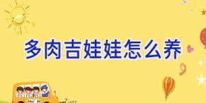 多肉吉娃娃怎么养