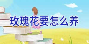 玫瑰花要怎么养